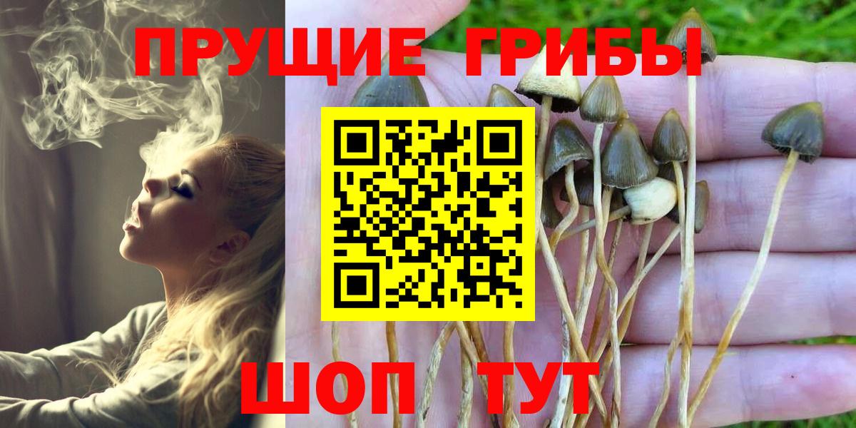 Галлюциногенные грибы Magic Shrooms Новороссийск